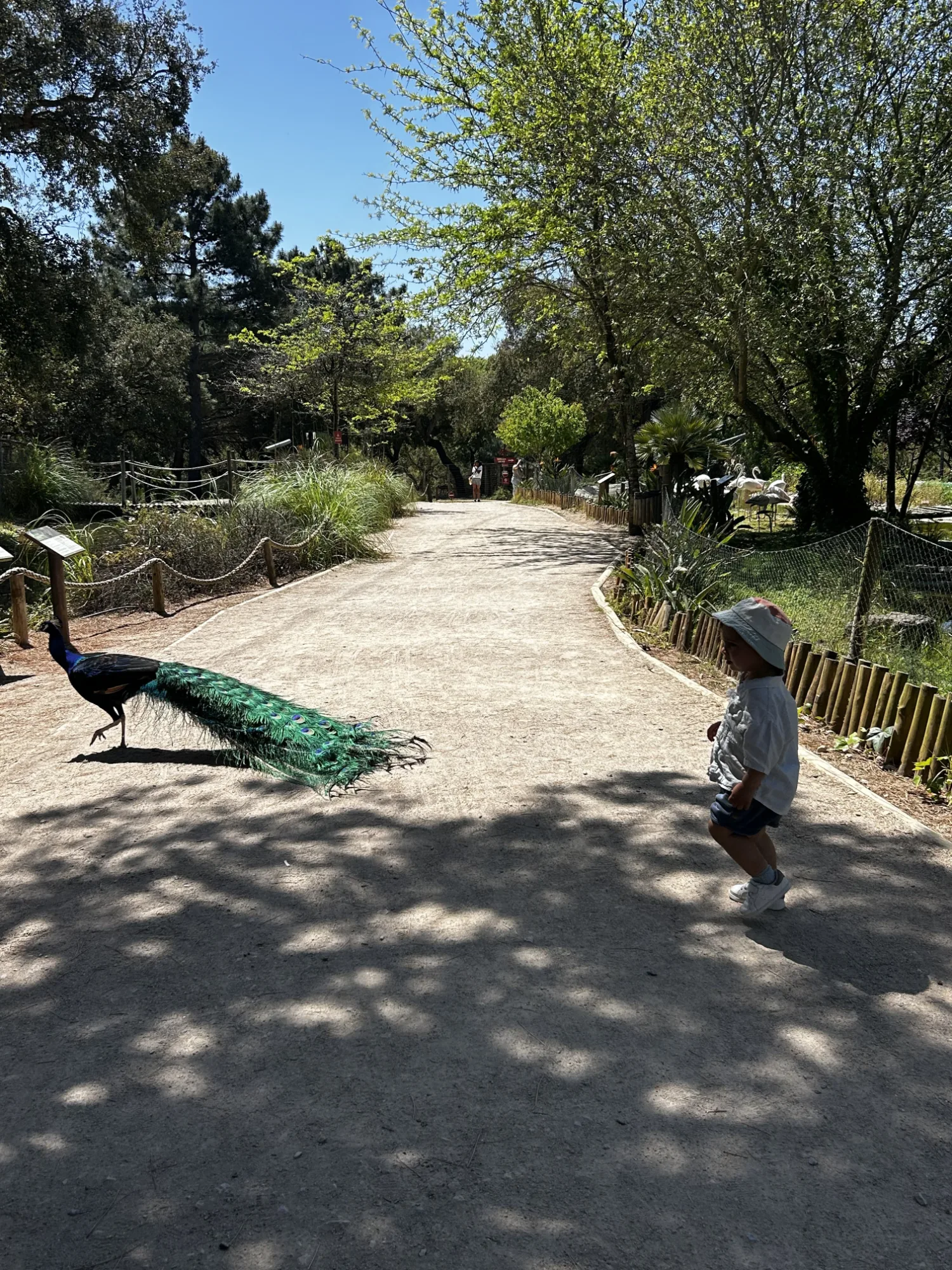 Badoca Safari Park