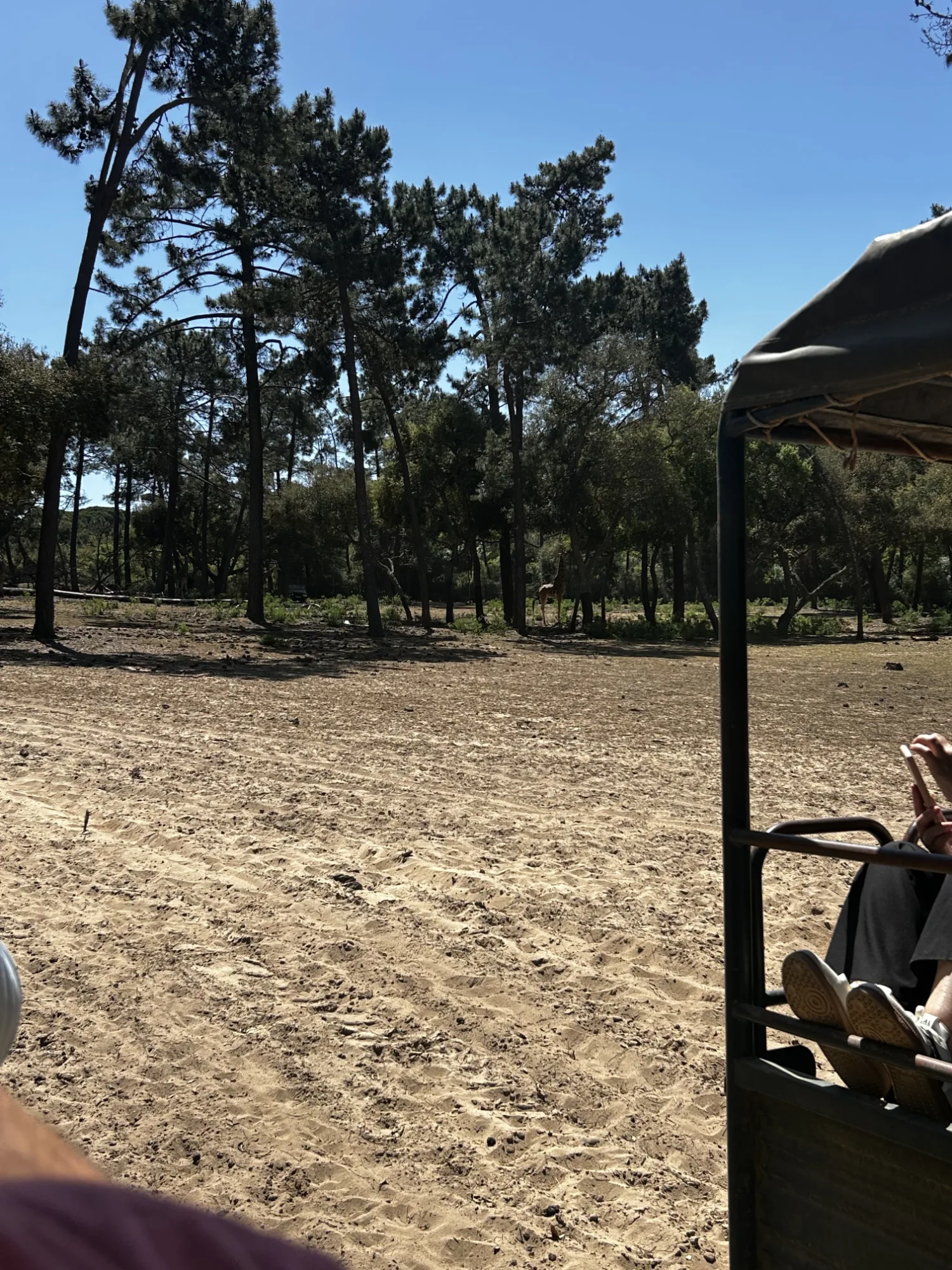 Badoca Safari Park