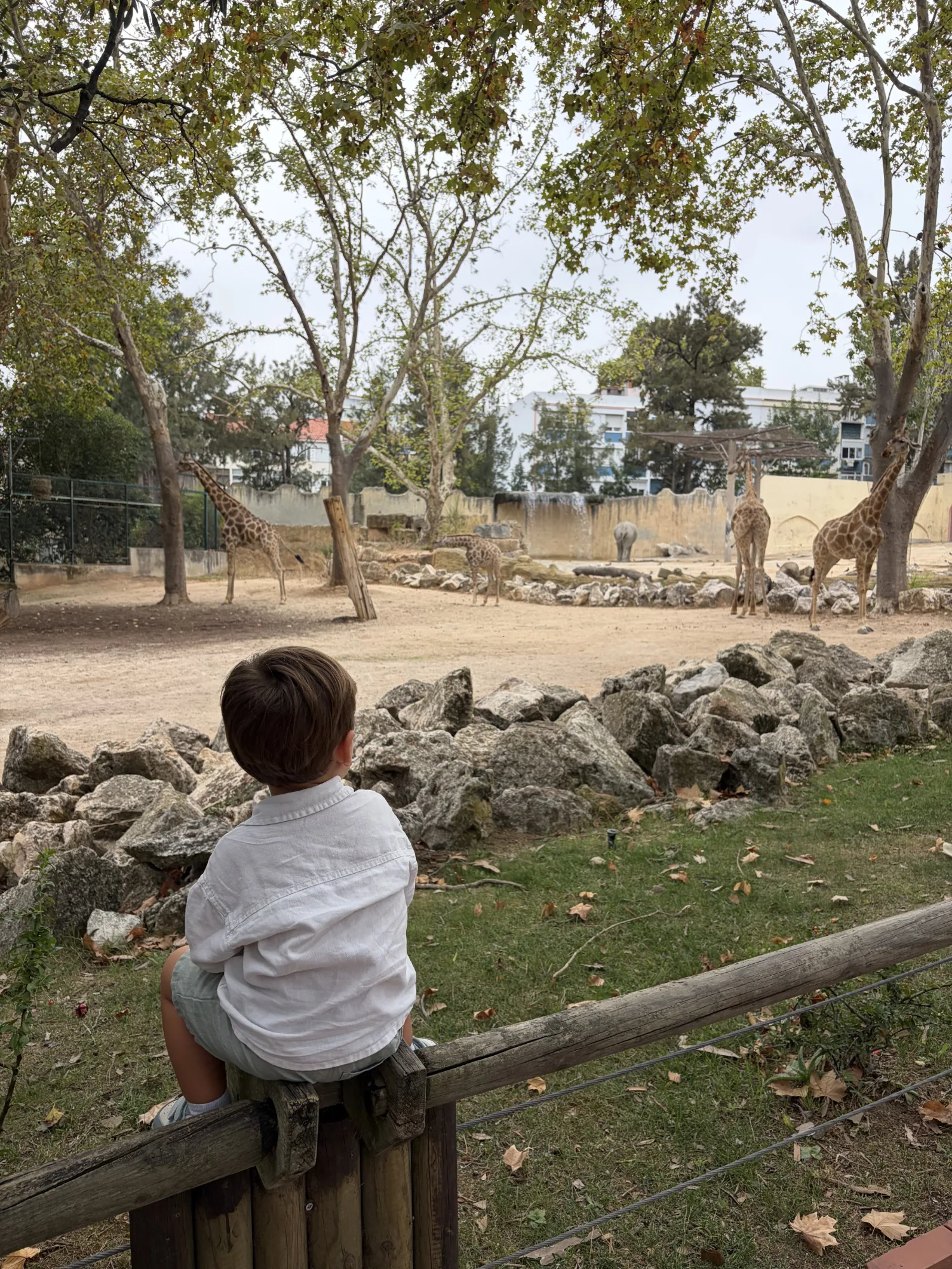 Jardim Zoológico de Lisboa