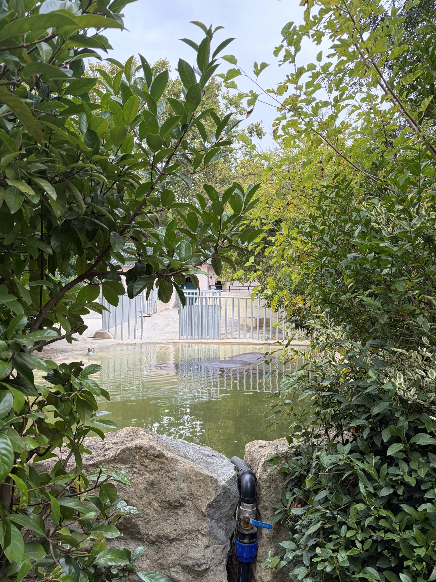 Jardim Zoológico de Lisboa