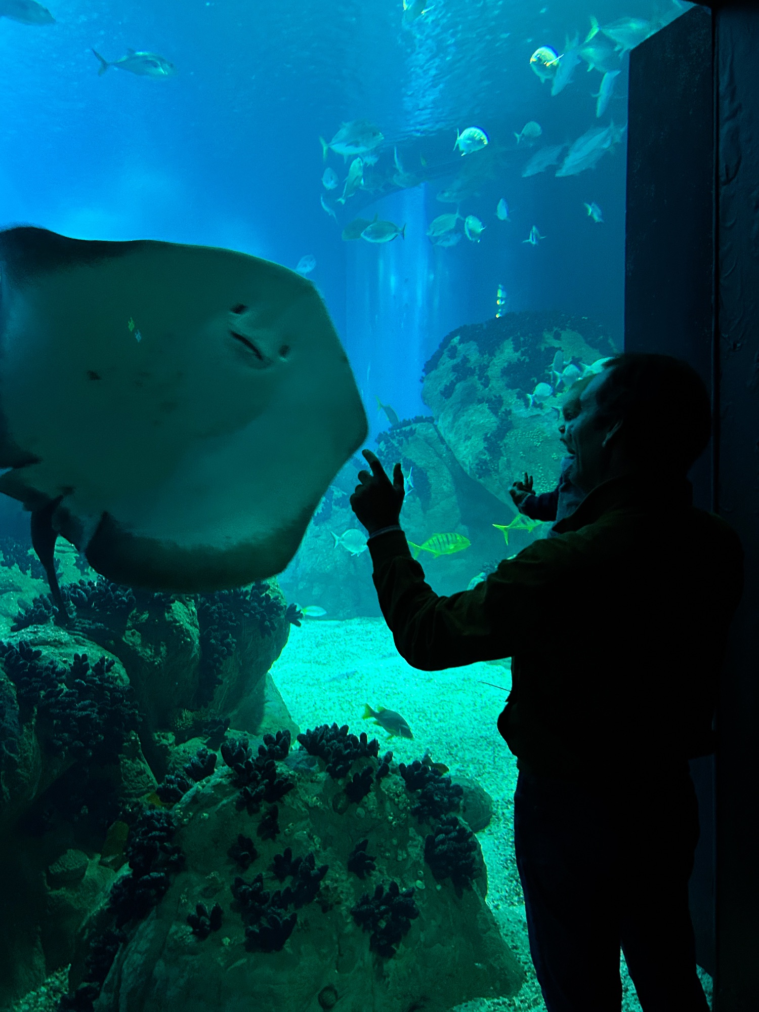 Oceanário de Lisboa