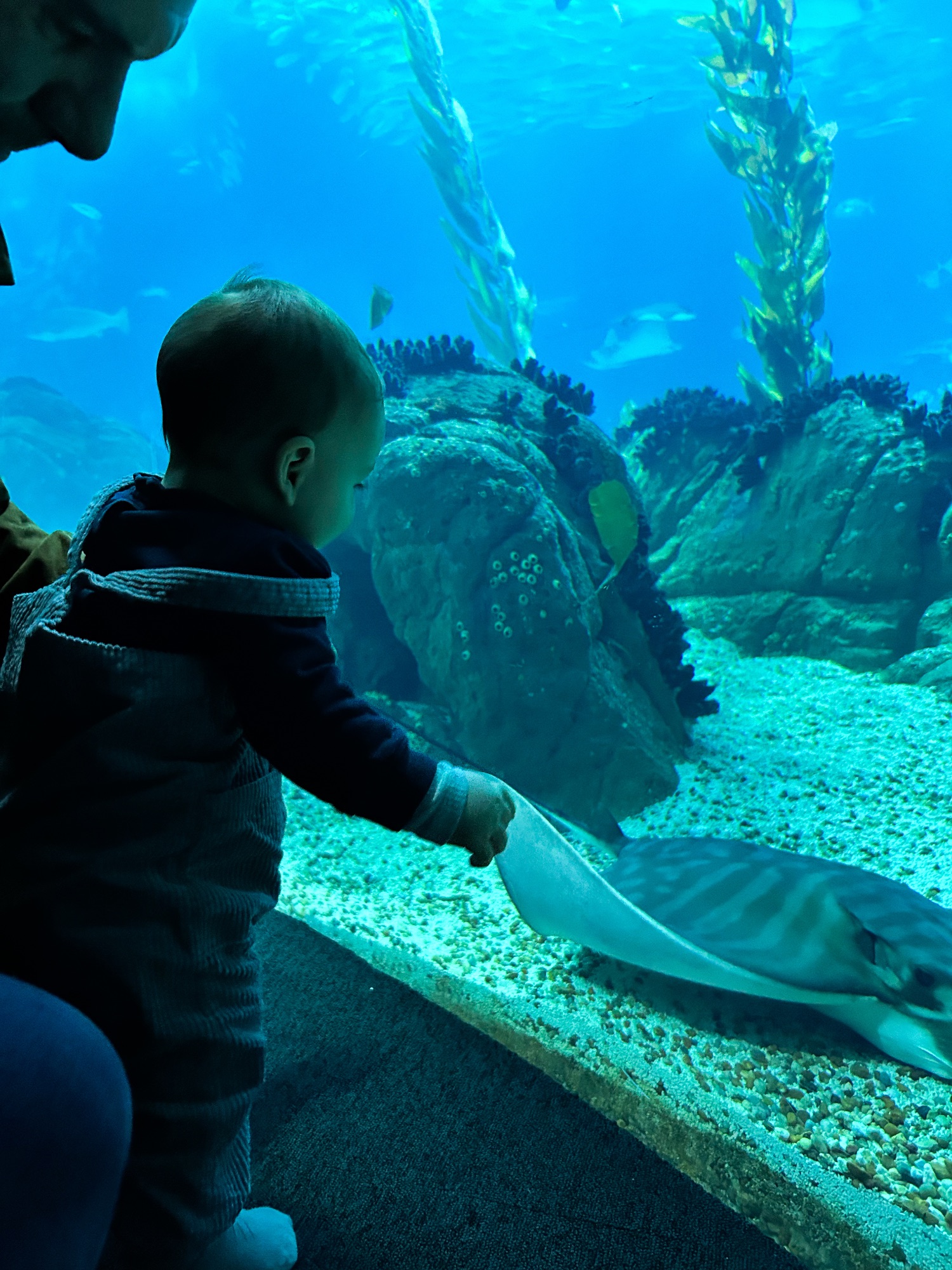 Oceanário de Lisboa